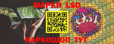 индика Абакан
