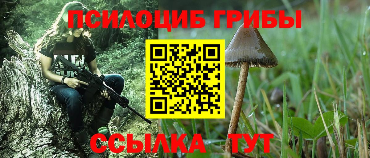 Псилоцибиновые грибы MAGIC MUSHROOMS Анжеро-Судженск